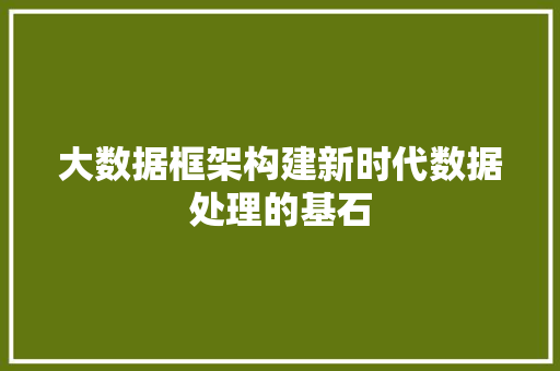 大数据框架构建新时代数据处理的基石