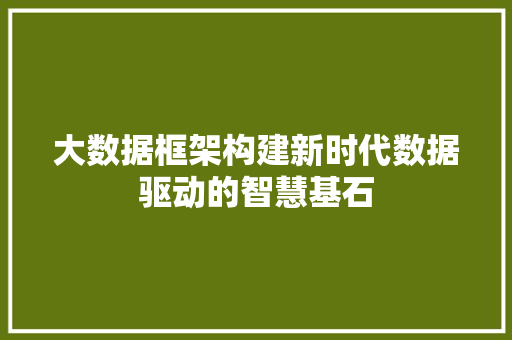 大数据框架构建新时代数据驱动的智慧基石