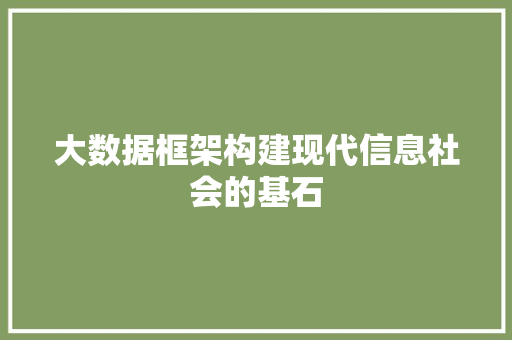 大数据框架构建现代信息社会的基石