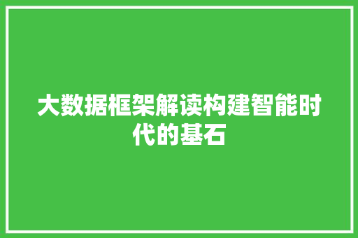 大数据框架解读构建智能时代的基石