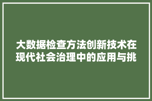 大数据检查方法创新技术在现代社会治理中的应用与挑战