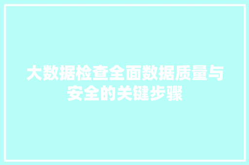 大数据检查全面数据质量与安全的关键步骤