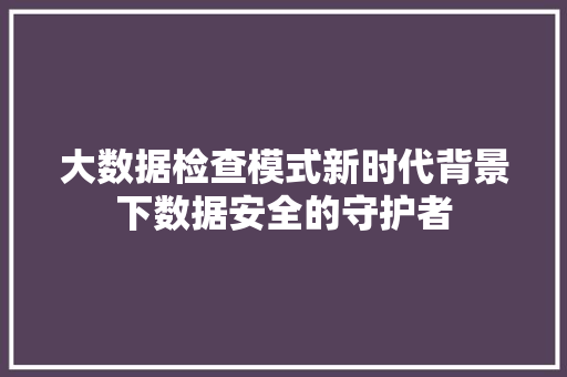大数据检查模式新时代背景下数据安全的守护者