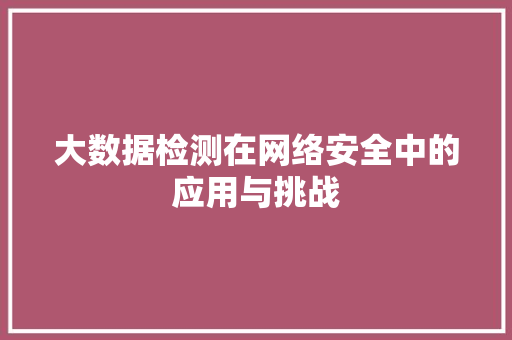 大数据检测在网络安全中的应用与挑战