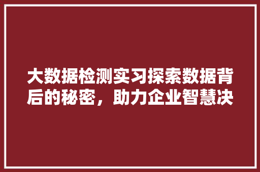 大数据检测实习探索数据背后的秘密，助力企业智慧决策  第1张