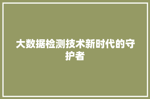 大数据检测技术新时代的守护者