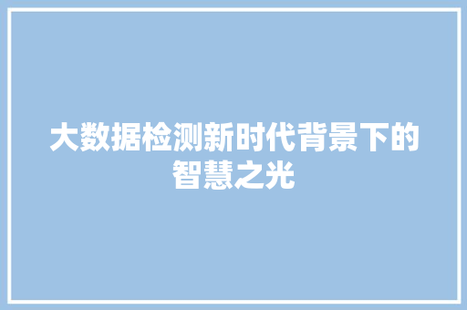 大数据检测新时代背景下的智慧之光