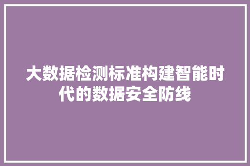 大数据检测标准构建智能时代的数据安全防线