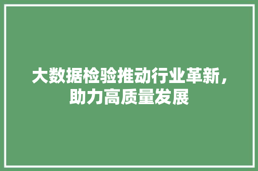 大数据检验推动行业革新，助力高质量发展