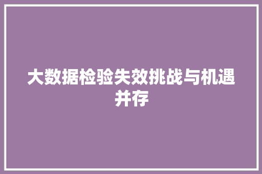大数据检验失效挑战与机遇并存