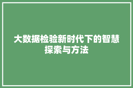 大数据检验新时代下的智慧探索与方法