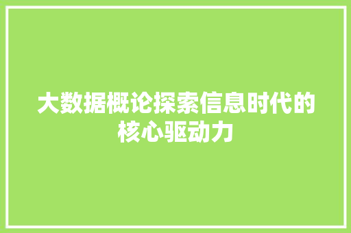 大数据概论探索信息时代的核心驱动力