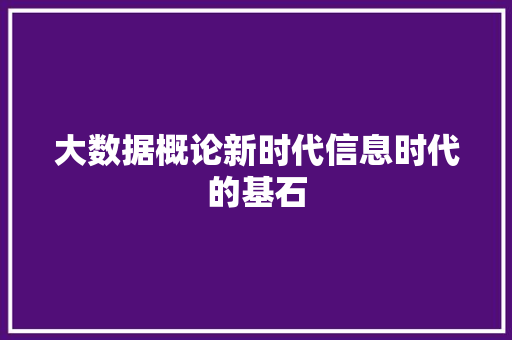 大数据概论新时代信息时代的基石