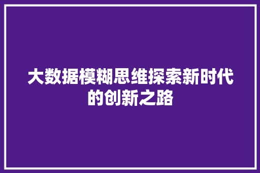 大数据模糊思维探索新时代的创新之路