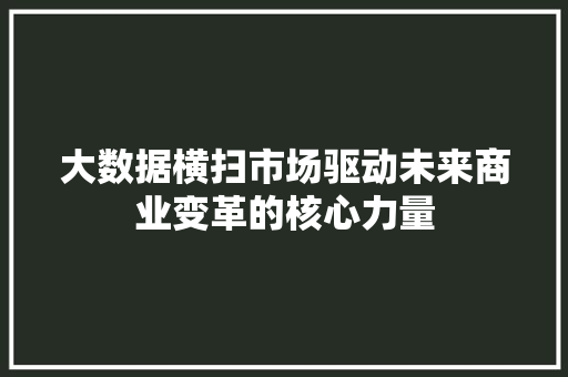 大数据横扫市场驱动未来商业变革的核心力量