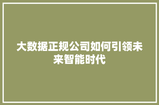大数据正规公司如何引领未来智能时代  第1张