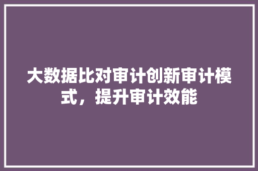 大数据比对审计创新审计模式，提升审计效能  第1张