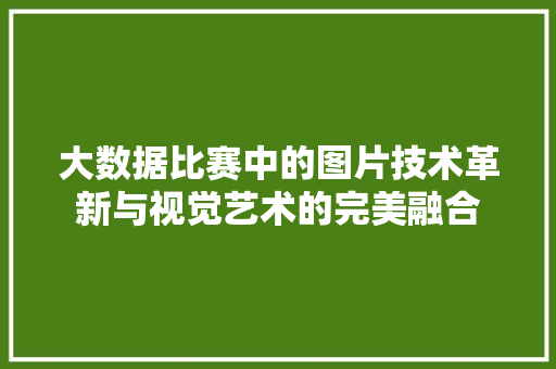 大数据比赛中的图片技术革新与视觉艺术的完美融合