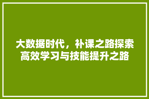 大数据时代，补课之路探索高效学习与技能提升之路  第1张