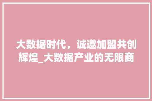 大数据时代，诚邀加盟共创辉煌_大数据产业的无限商机  第1张