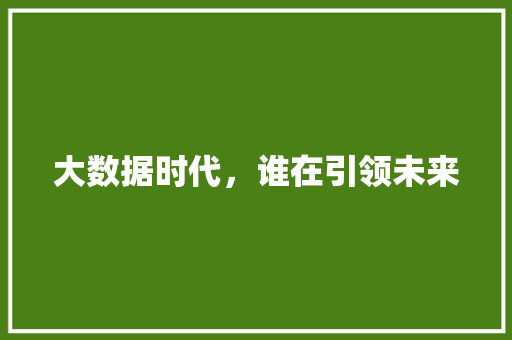 大数据时代，谁在引领未来  第1张