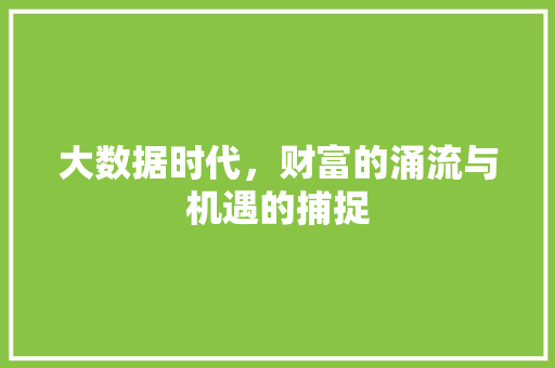 大数据时代，财富的涌流与机遇的捕捉  第1张