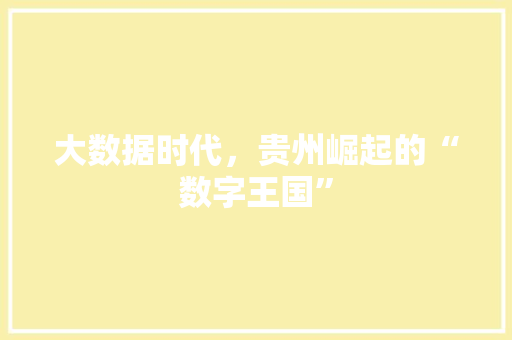 大数据时代，贵州崛起的“数字王国”  第1张