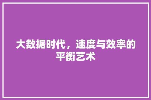 大数据时代，速度与效率的平衡艺术