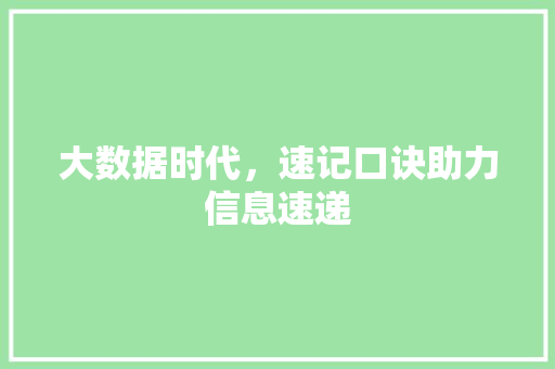 大数据时代，速记口诀助力信息速递