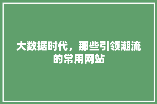 大数据时代，那些引领潮流的常用网站