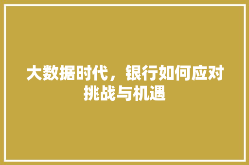 大数据时代，银行如何应对挑战与机遇  第1张