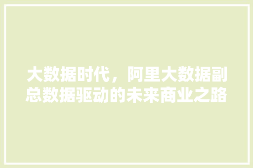 大数据时代，阿里大数据副总数据驱动的未来商业之路  第1张