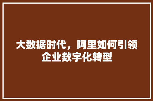 大数据时代，阿里如何引领企业数字化转型  第1张