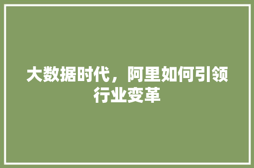 大数据时代，阿里如何引领行业变革  第1张