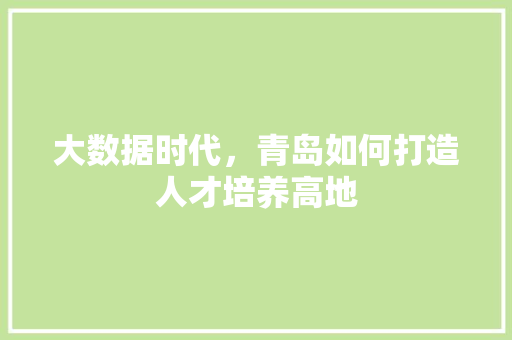 大数据时代，青岛如何打造人才培养高地