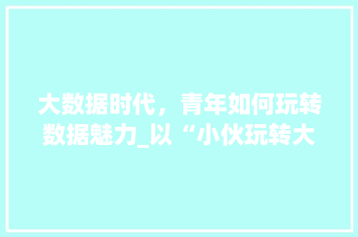 大数据时代，青年如何玩转数据魅力_以“小伙玩转大数据”为例