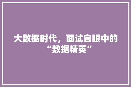 大数据时代，面试官眼中的“数据精英”