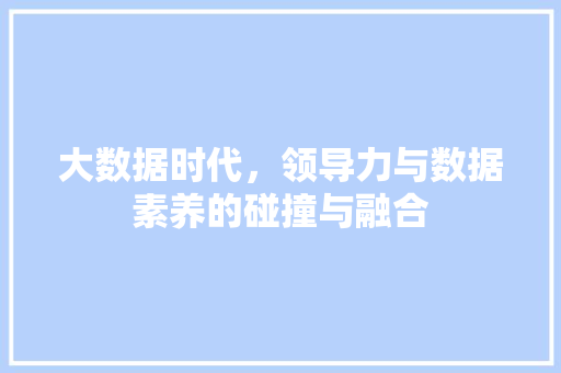 大数据时代，领导力与数据素养的碰撞与融合  第1张