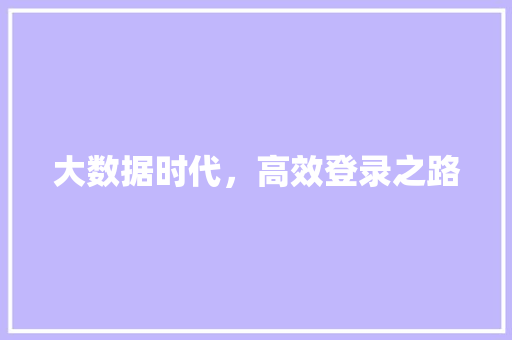 大数据时代，高效登录之路  第1张