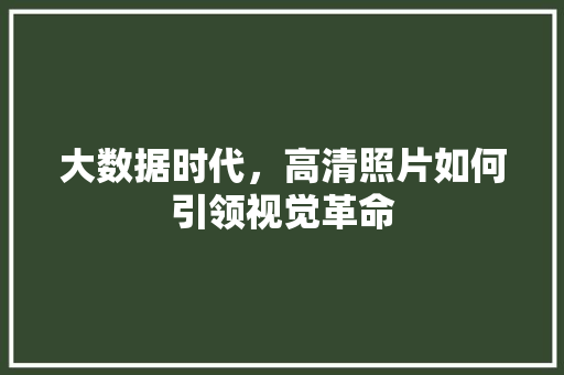 大数据时代，高清照片如何引领视觉革命  第1张
