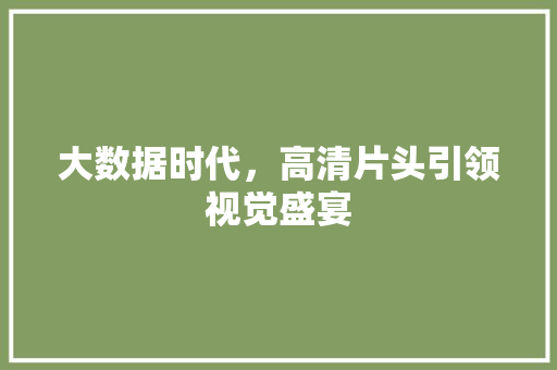 大数据时代，高清片头引领视觉盛宴