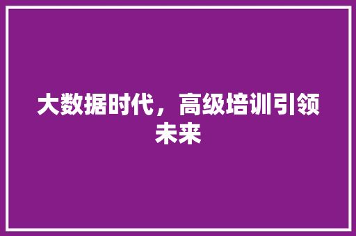 大数据时代，高级培训引领未来