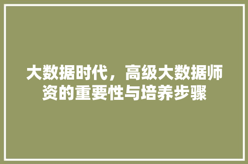 大数据时代，高级大数据师资的重要性与培养步骤  第1张