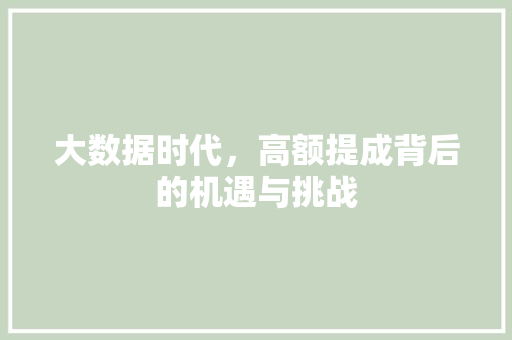 大数据时代，高额提成背后的机遇与挑战