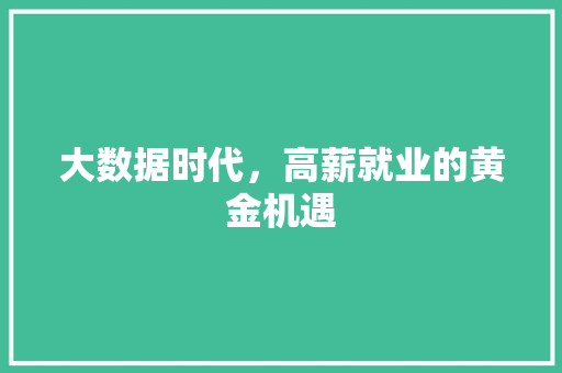 大数据时代，高薪就业的黄金机遇