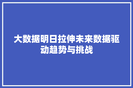 大数据明日拉伸未来数据驱动趋势与挑战
