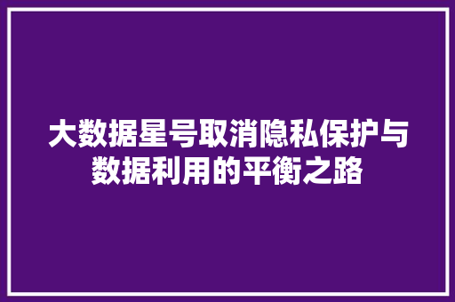 大数据星号取消隐私保护与数据利用的平衡之路