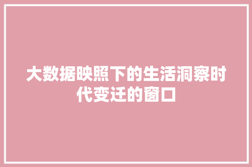 大数据映照下的生活洞察时代变迁的窗口  第1张
