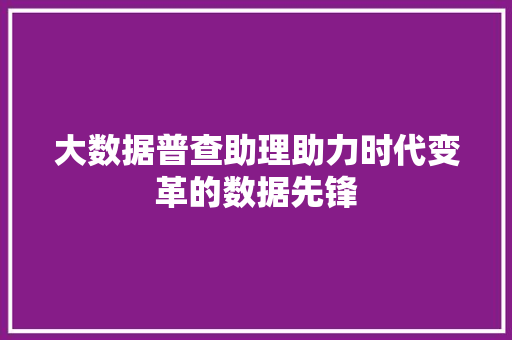大数据普查助理助力时代变革的数据先锋