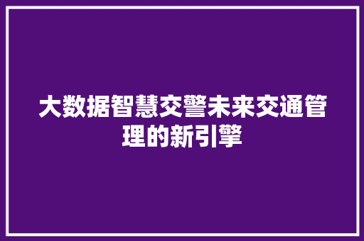 大数据智慧交警未来交通管理的新引擎  第1张
